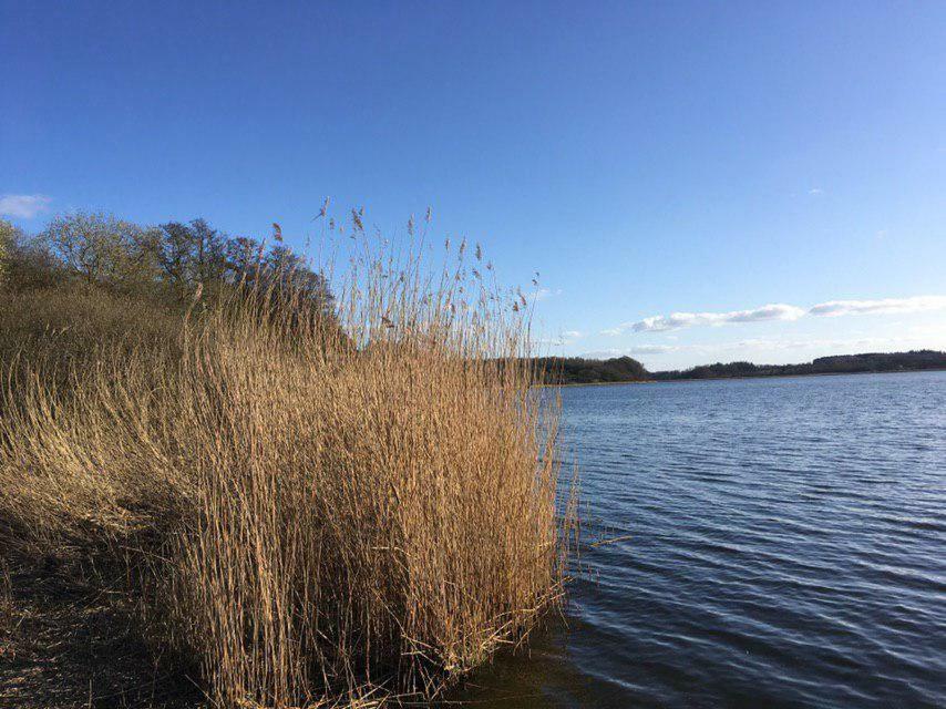 Ferienwohnung Am Noor Nahe Schleswig Und Dem Wikingerdorf Haithabu Fahrdorf  Eksteriør billede