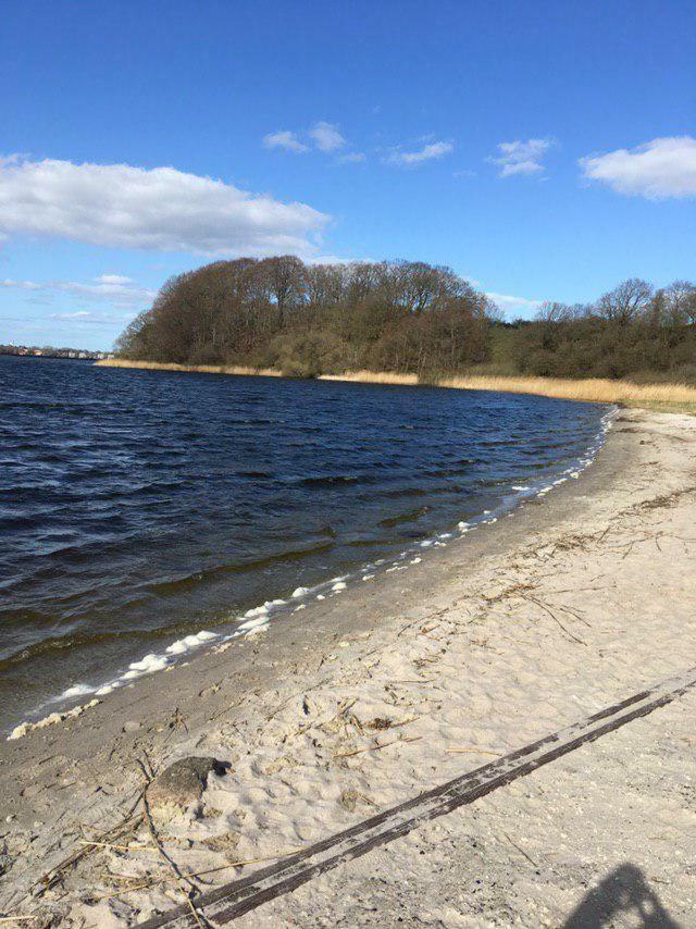Ferienwohnung Am Noor Nahe Schleswig Und Dem Wikingerdorf Haithabu Fahrdorf  Eksteriør billede