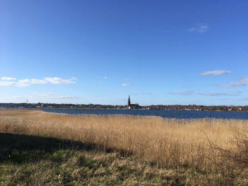 Ferienwohnung Am Noor Nahe Schleswig Und Dem Wikingerdorf Haithabu Fahrdorf  Eksteriør billede